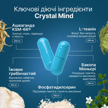 Perla Helsa Crystal Mind