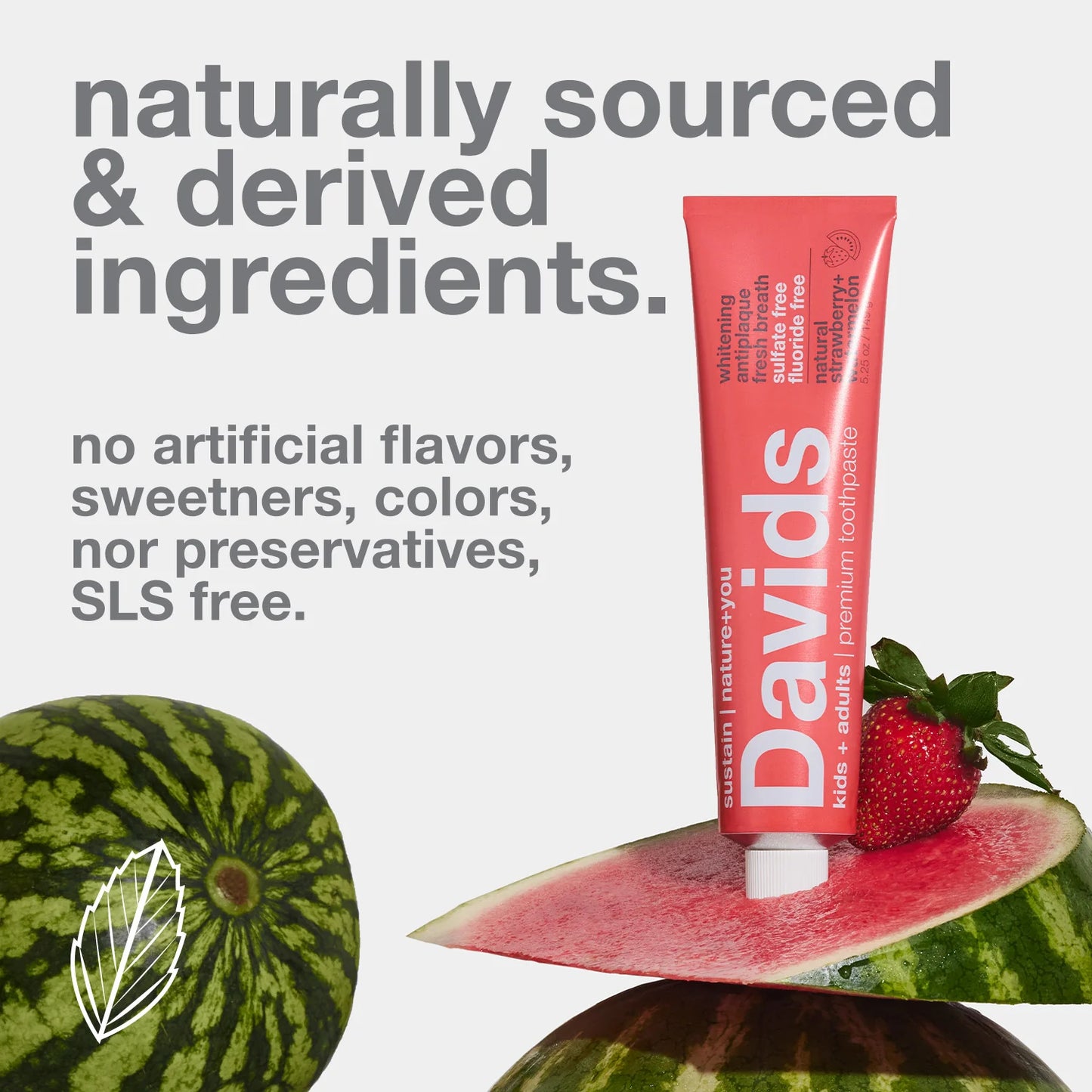 Davids kids + adults premium toothpaste / strawberry watermelon
