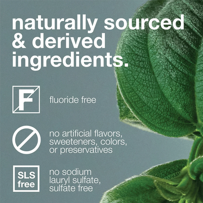 Davids Premium Toothpaste Herbal Citrus Peppermint