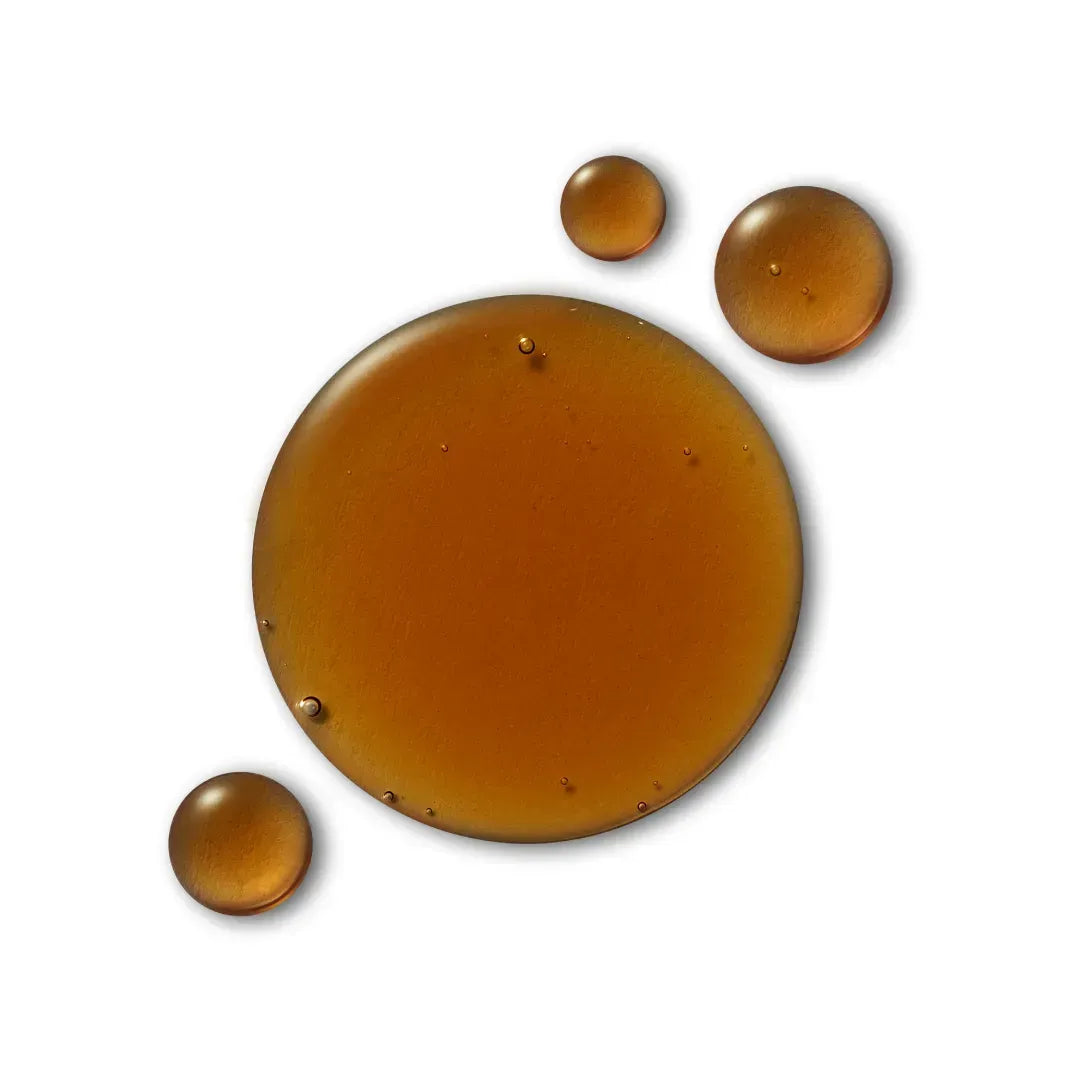 ANILLO Dark Beer Biome Shampoo